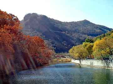 管家婆黑白马报图库，硅油价格